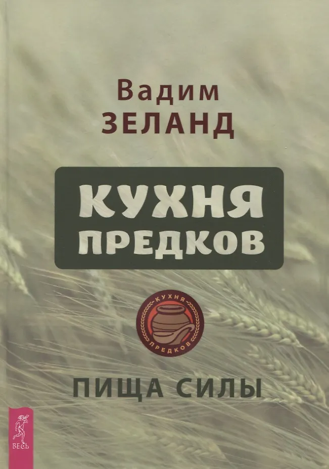 Трансерфинг себя Книга Зеланд Вадим 16+