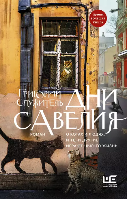 Дни Савелия Книга Служитель Григорий 16+