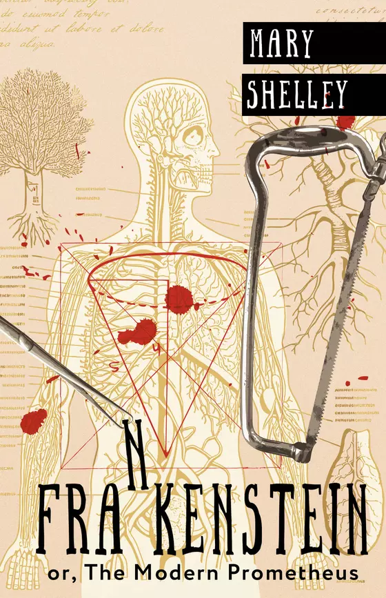 Frankenstain or The Modern Prometheus Франкенштейн или Современый Прометей Книга Шелли Мэри 12+