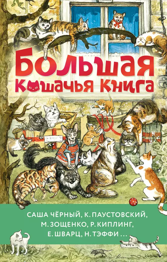 Большая кошачья книга Книга Черный С 6+