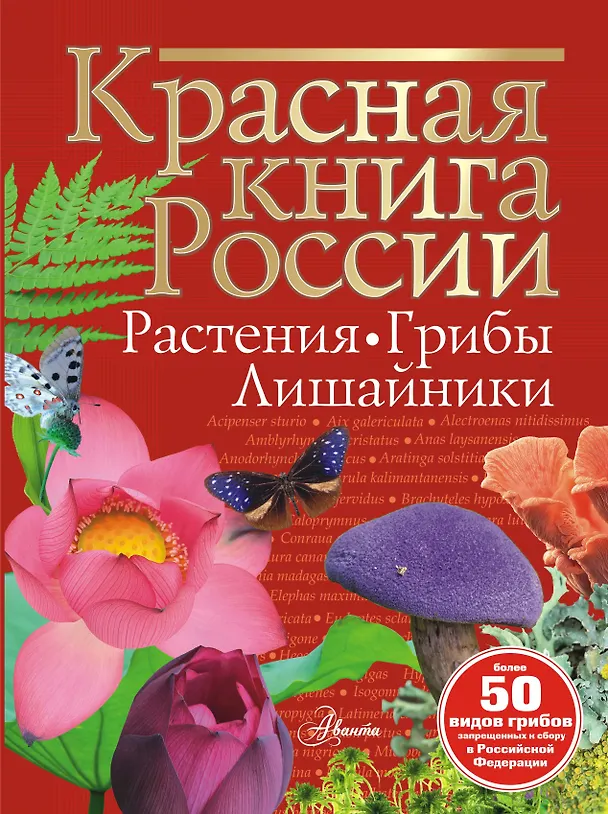 Красная книга России Растения Грибы Лишайники Энциклопедия Пескова Ирина 6+