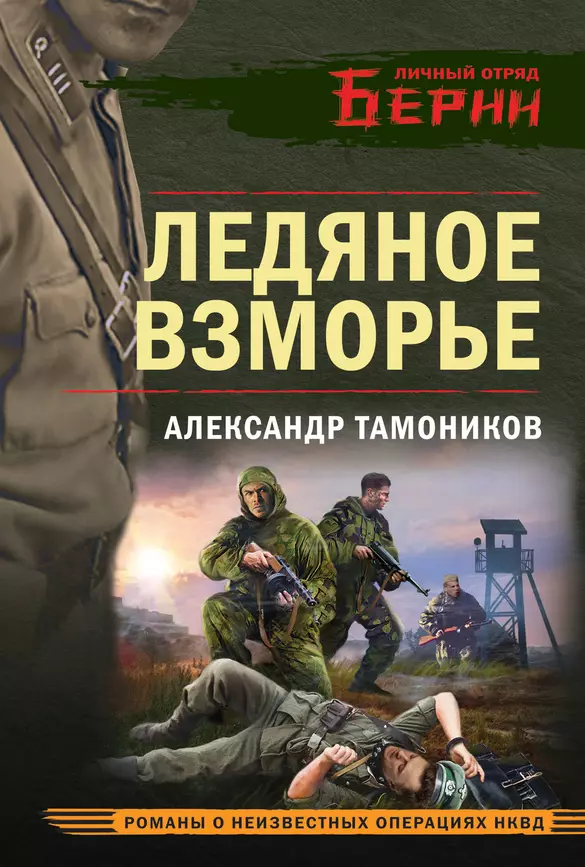 Ледяное взморье Книга Тамоников Александр 16+