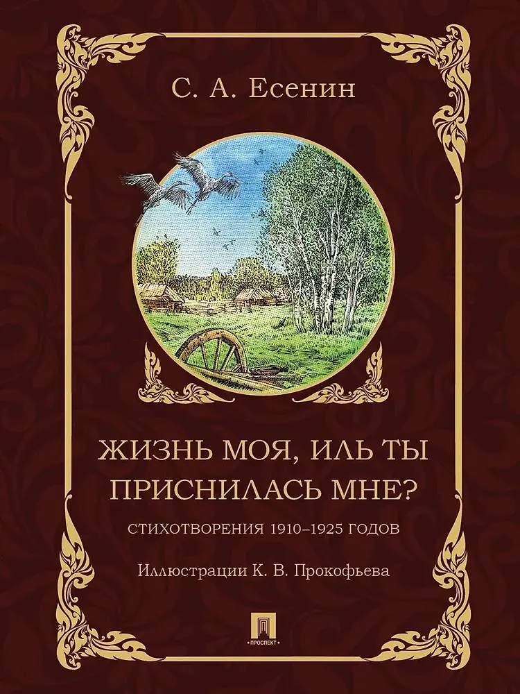 Жизнь моя иль ты приснилась мне стихотворения 1910-1925 годов Книга Есенин СА 12+