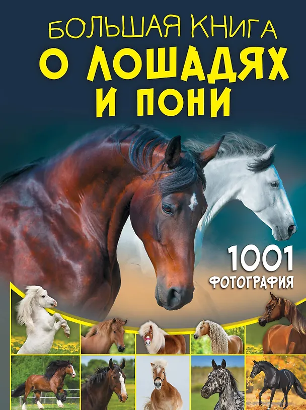 Большая книга о лошадях и пони 1001 фотография Книга Спектор АА 12+