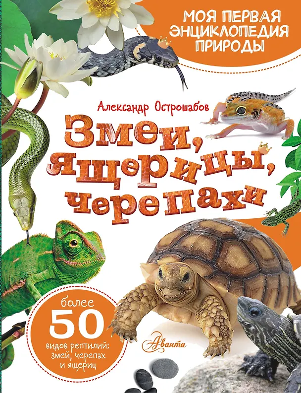 Змеи ящерицы черепахи Энциклопедия Острошабов А 6+
