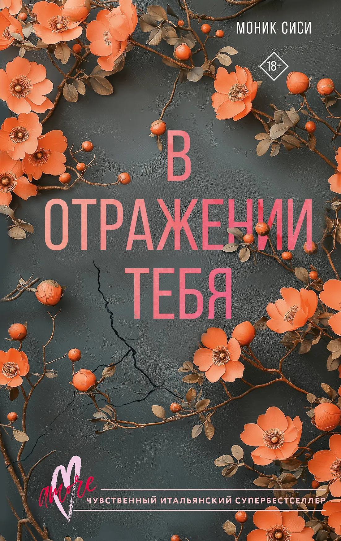 В отражении тебя Книга Сиси Моник 18+