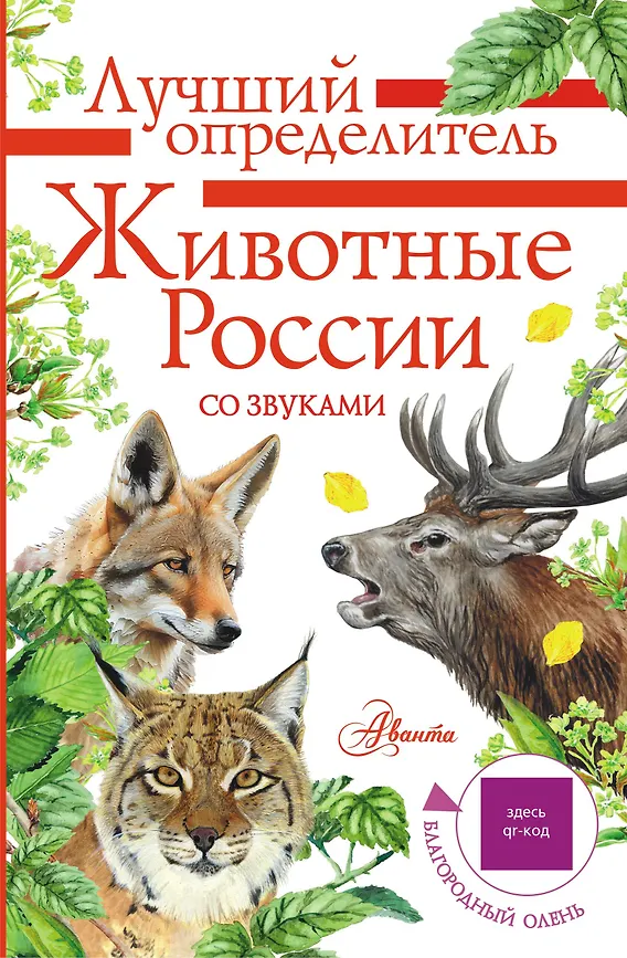 Животные России со звуками Определитель Книга Беме ИР 0+