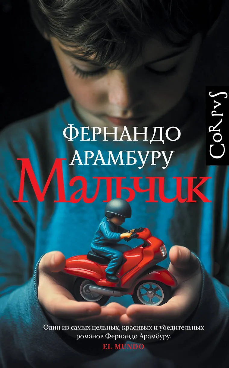 Мальчик Книга Арамбуру Фернандо 16+