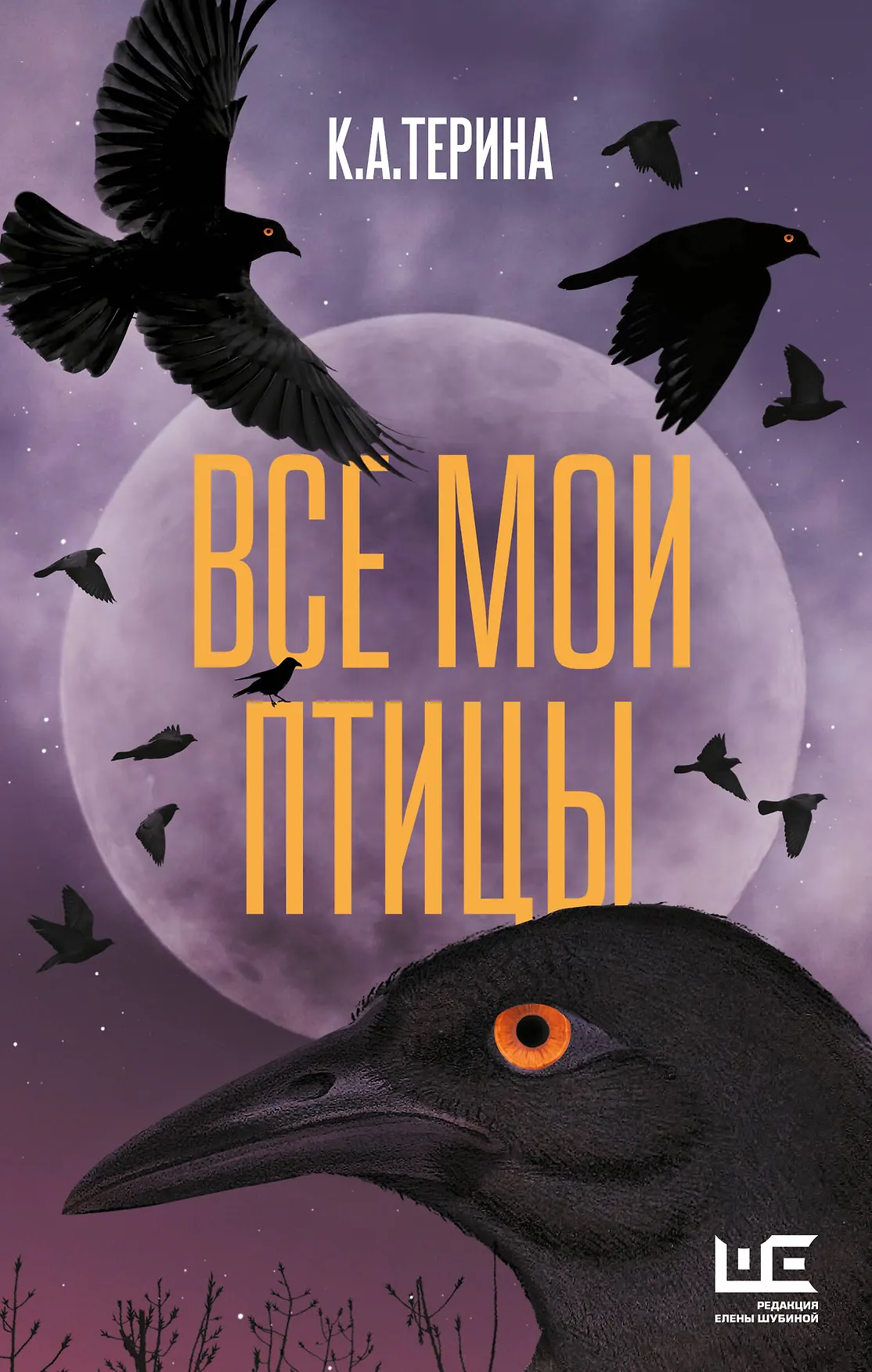 Все мои птицы Книга Терина КА 16+