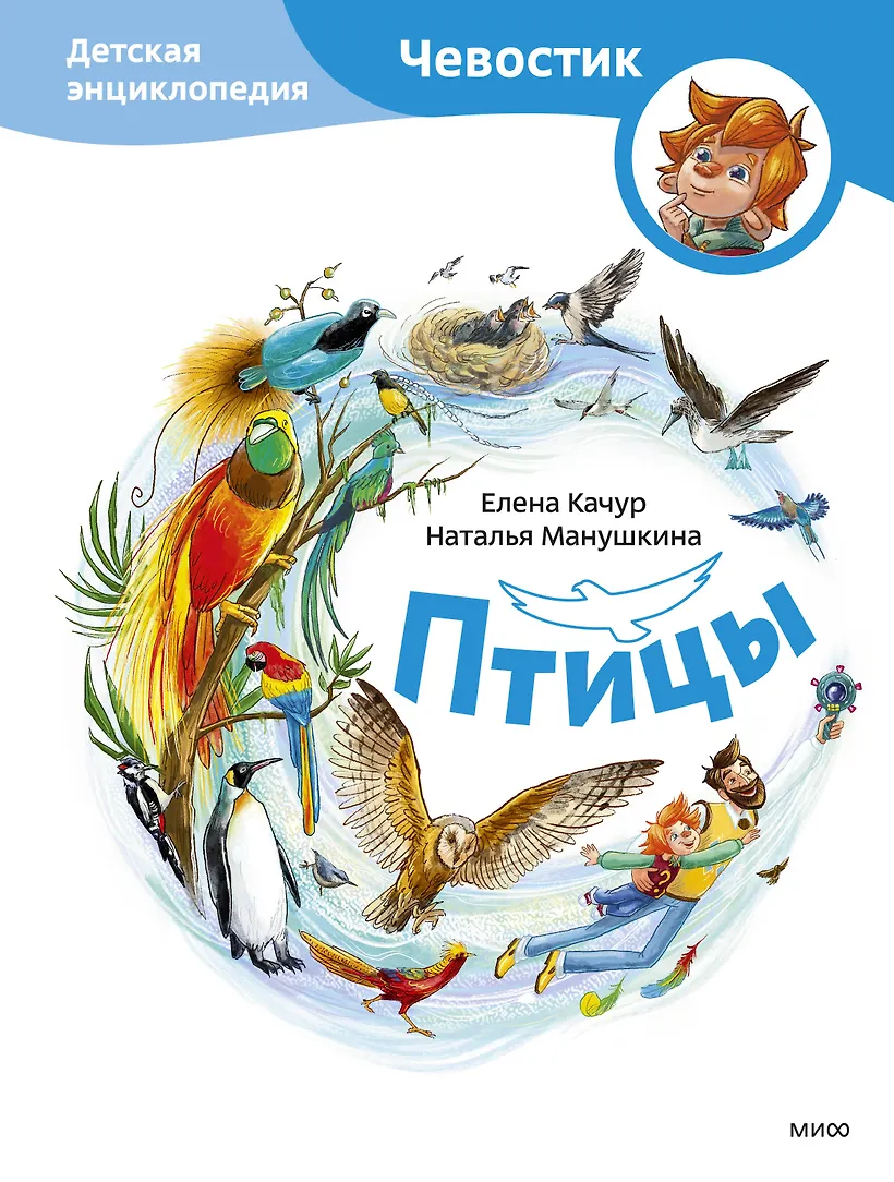 Птицы Детская энциклопедия Чевостик Качур Елена 6+