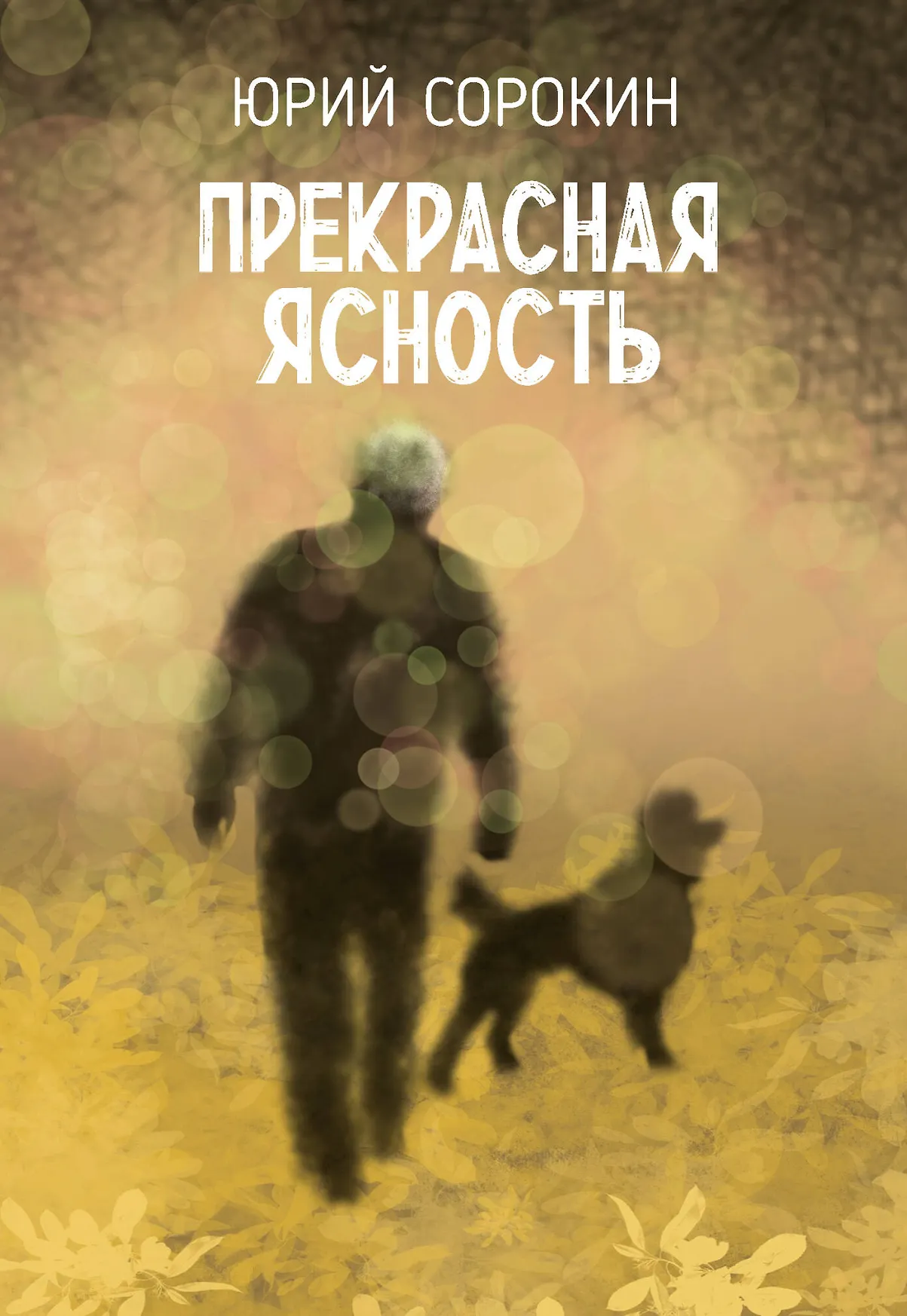 Прекрасная яность Книга Сорокин ЮА 16+