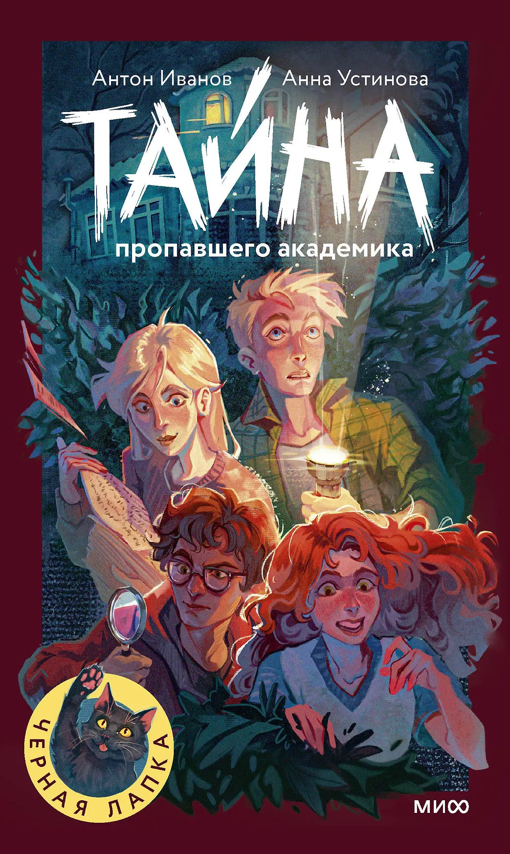 Тайна пропавшего академика Книга Иванов А Устинова А 12+