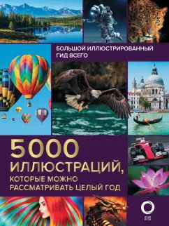 Большой иллюстрированный гид всего 5000 которые можно рассматривать целый год Книга Спектор Анна 12+