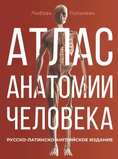 Атлас анатомии человека Русско латинско английское издание Книга Палычева Любовь 16+