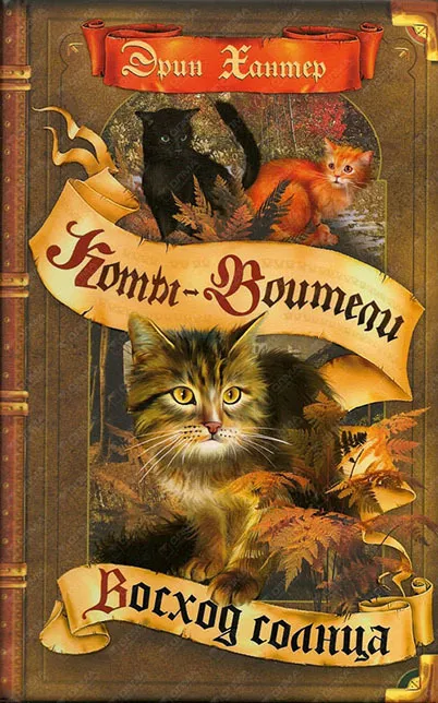 Восход солнца Коты воители Книга Хантер Эрин 6+