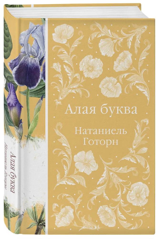 Алая буква Книга Готорн Н 16+