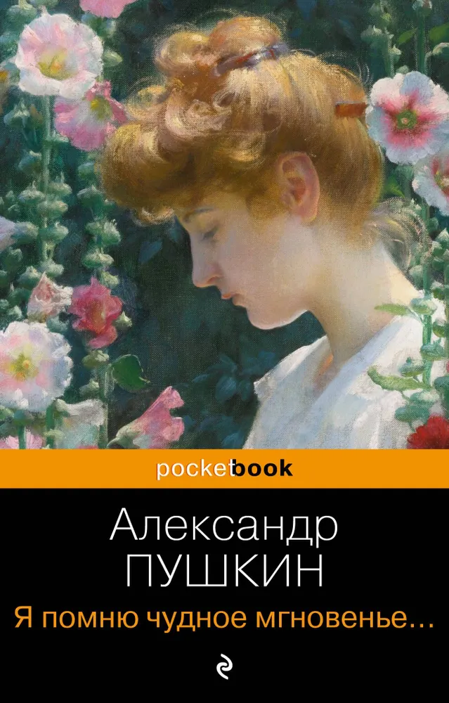 Я помню чудное мгновение Стихотворения Книга Пушкин Александр 12+