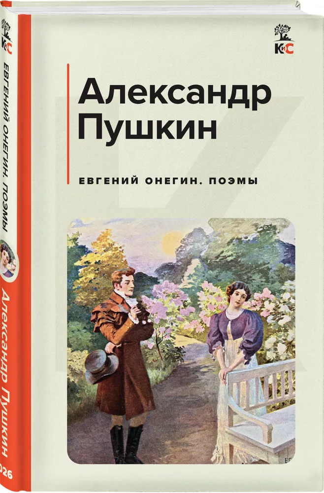 Евгений Онегин роман в стихах Поэмы Книга Пушкин 16+