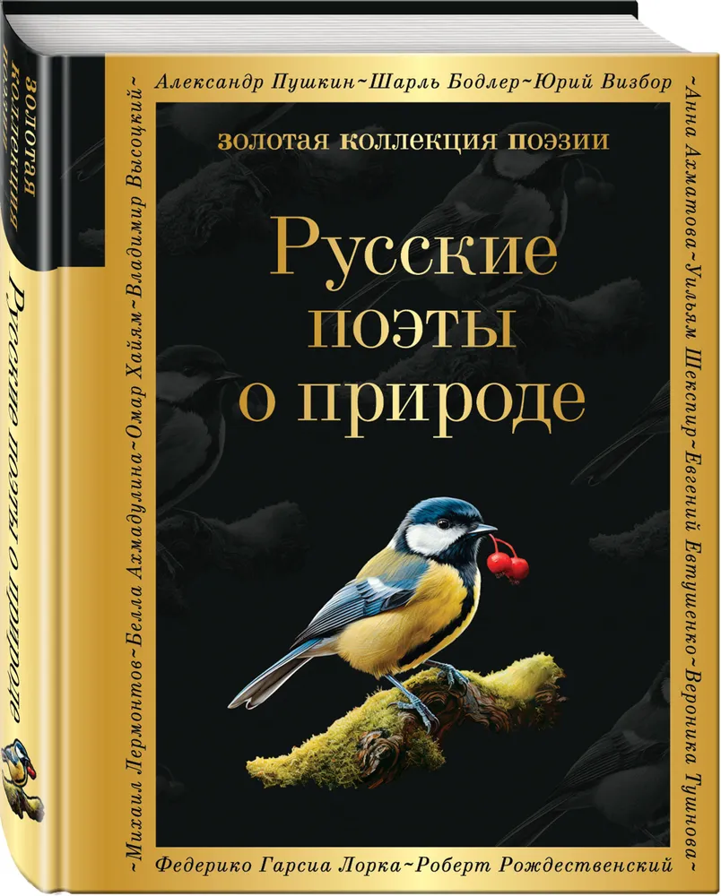 Русские поэты о природе Книга Бордуновский М 16+