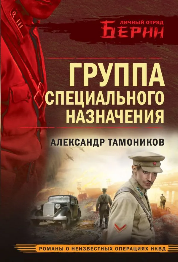 Группа специального назначения Книга Тамоников 16+