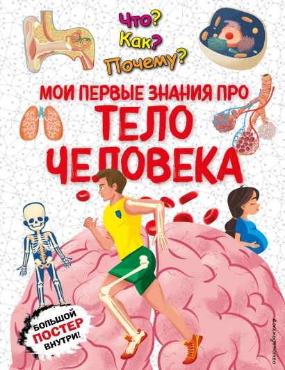 Что Как Почему Мои первые знания про тело человека Энциклопедия 12+