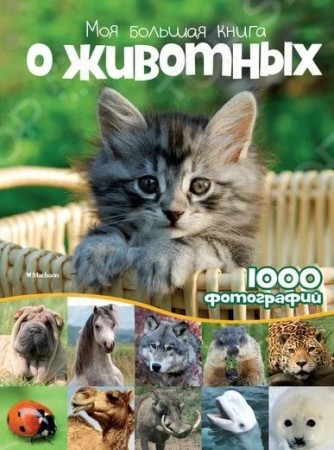 Моя большая книга о животных 1000 фотографий Книга Бологова Валентина 6+