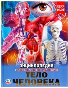 Тело человека Энциклопедия с развивающими заданиями Энциклопедия Волцит Петр 0+