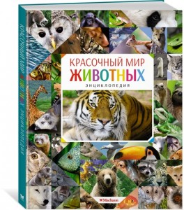 Красочный мир животных Энциклопедия Балле Кристин 6+