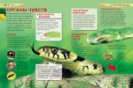 Змеи Энциклопедия Шейх-Миллер Джонатан 6+