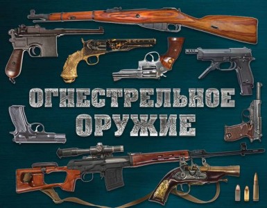 Огнестрельное оружие Книга Алексеев Дмитрий 12+