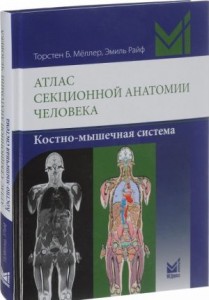 Атлас секционной анатомии человека Костно мышечная система Книа Меллер ТБ
