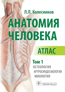 Атлас анатомии человека Том 1 Остеология артрология миология Пособие Синельников РД
