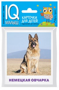 Карточки для детей IQ малыш Породы собак Наглядное пособие Малунова МВ 0+
