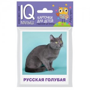 Карточки для детей IQ малыш Породы кошек Наглядное пособие Малунова МВ 0+