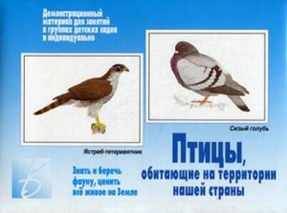 Игра Птицы обитающие на территории нашей страны Демонстрационный материал Пособие Бурдина СВ 3+