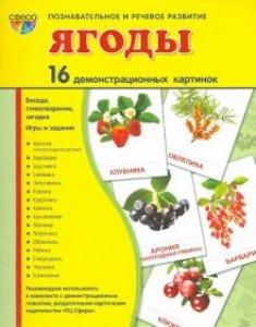 Демонстрационные картинки Ягоды 16 демонстрационных картинок с текстом на обороте  Демонстрационный материал Цветкова ТВ 0+