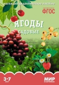 Ягоды садовые Мир в картинках Наглядно дидактическое пособие Минишева Т 0+