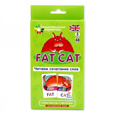 Английский язык Занимательные карточки Fat Cat Читаем сочетания слов 5 уровень 48 карточек 2 обучающих игры Пособие Клементьева ТБ 6+