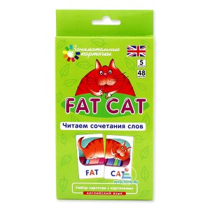 Английский язык Занимательные карточки Fat Cat Читаем сочетания слов 5 уровень 48 карточек 2 обучающих игры Пособие Клементьева ТБ 6+