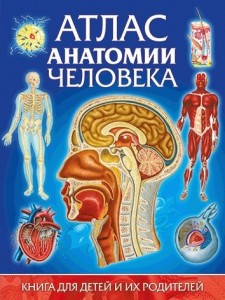 Атлас анатомии человека Книга для детей и их родителей Энциклопедия Гуиди Винченцо 12+