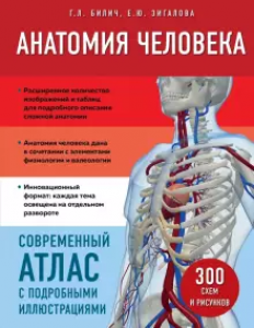 Анатомия человека Современный атлас с подробными иллюстрациями 300 схем и рисунков Книга Билич Габриэль 12+