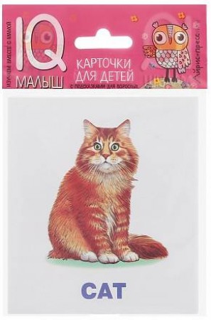 Карточки для детей IQ малыш English Домашние питомцы Pets Наглядное пособие 0+