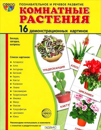 Комнатные растения 16 демонстрационных картинок Познавательное и речевое развитие Демонстрационный материал Цветкова ТВ 0+