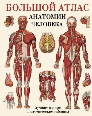 Большой атлас анатомии человека Лучшие в мире анатомические таблицы Справочник Махиянова ЕБ 16+