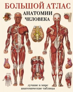 Большой атлас анатомии человека Лучшие в мире анатомические таблицы Справочник Махиянова ЕБ 16+