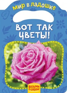 Вот так цветы Мир в ладошке Книга Котятова НИ 0+