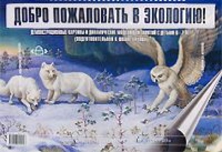 Добро пожаловать в экологию Подготовительная к школе группа 6-7 лет Демонстрационный материал Воронкевич ОА 0+