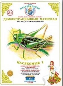 Демонстрационный материал Виды насекомых Насекомые 1 Пособие Вохринцева СВ 3+