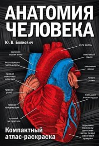 Анатомия человека компактный атлас раскраска Книга Боянович Юрий 12+