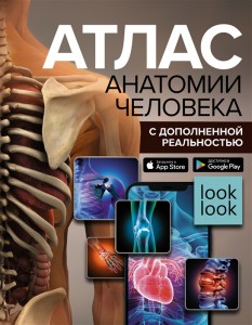 Атлас анатомии человека с дополненной реальностью Книга Спектор Анна 12+